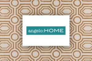 angelo-home-surya | All Floors & More