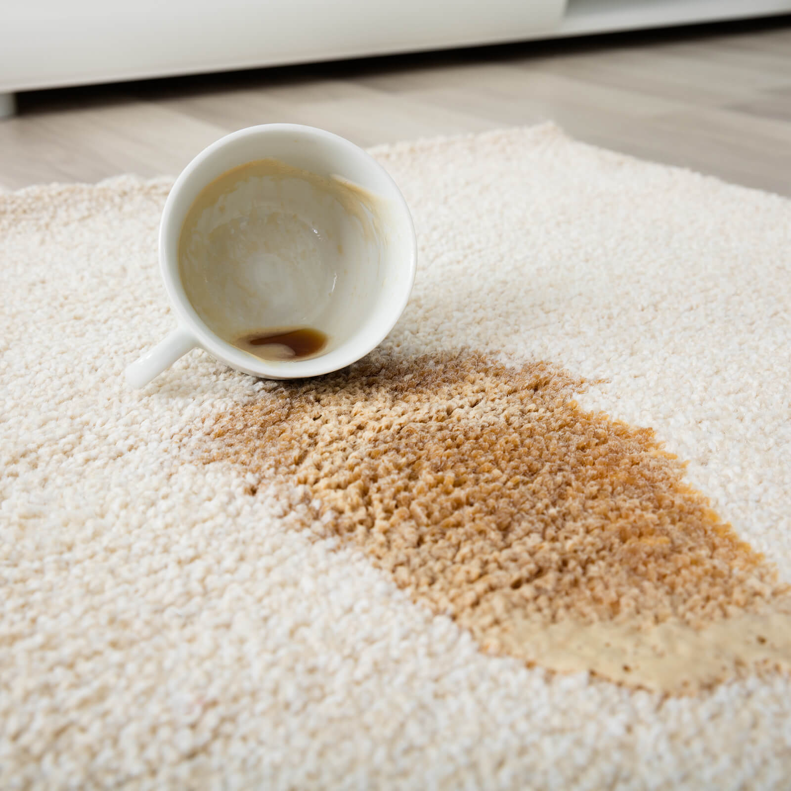 Coffee spilled on an area rug | All Floors & More