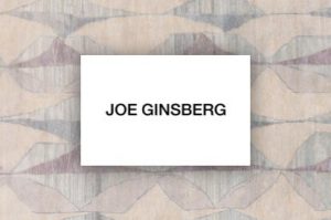 joe-ginsberg-surya | All Floors & More