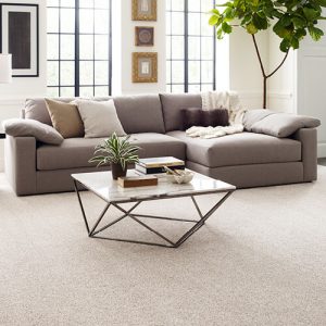 Living room flooring | All Floors & More