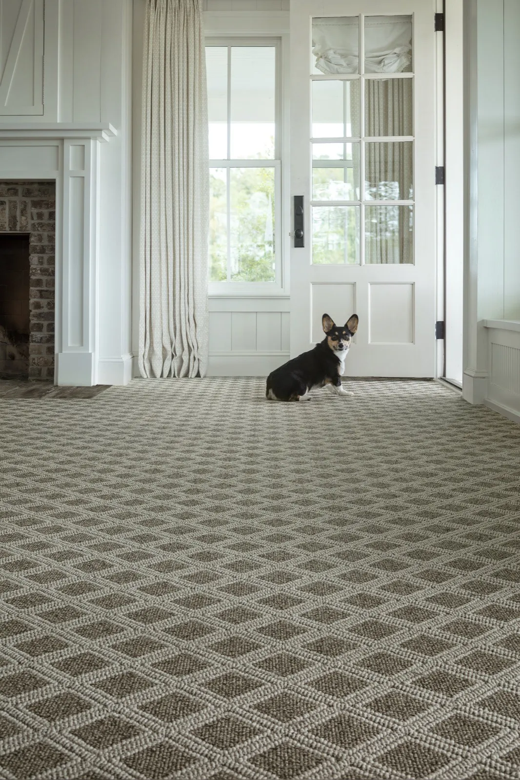 imgi_43_ZZ073-Scout-717-Desert-Palm-D_3947_ret2 imgi_43_ZZ073-Scout-717-Desert-Palm-D_3947_ret2