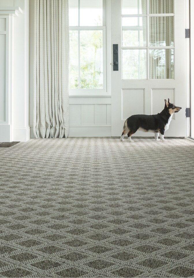 Pet friendly carpet | All Floors & More